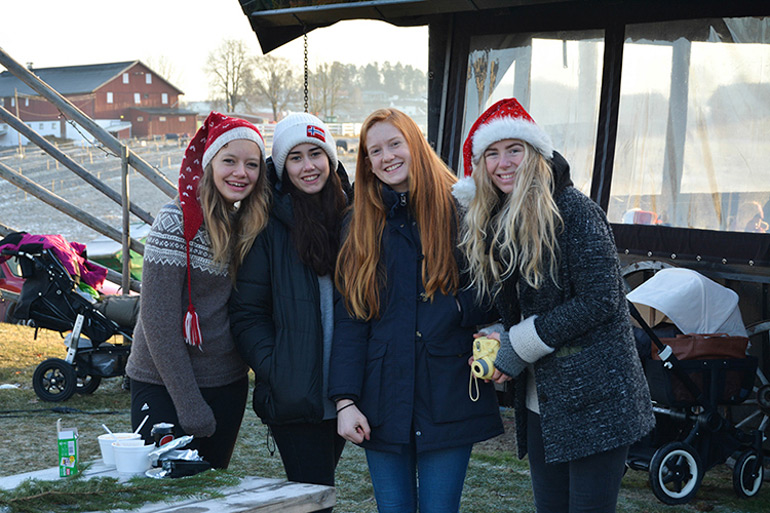201612_bolstad_julemarked_05